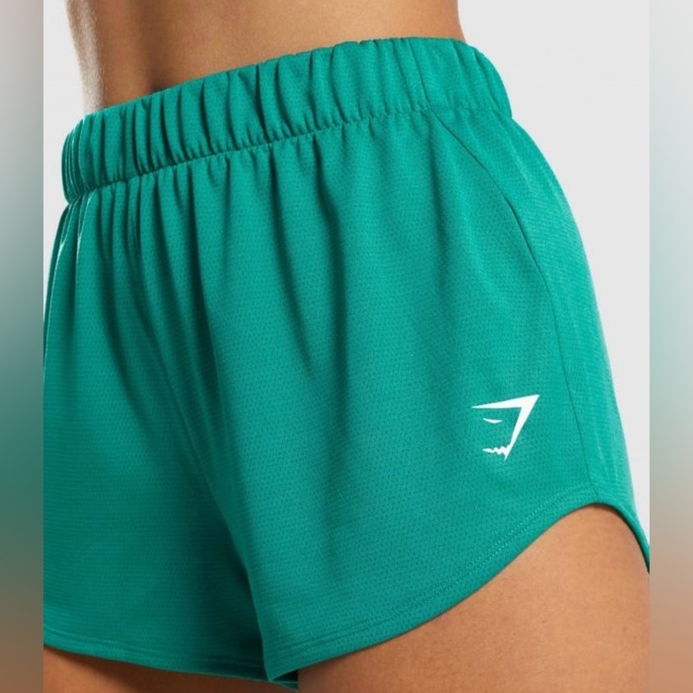 GYMSHARK Mesh Training Short (small)